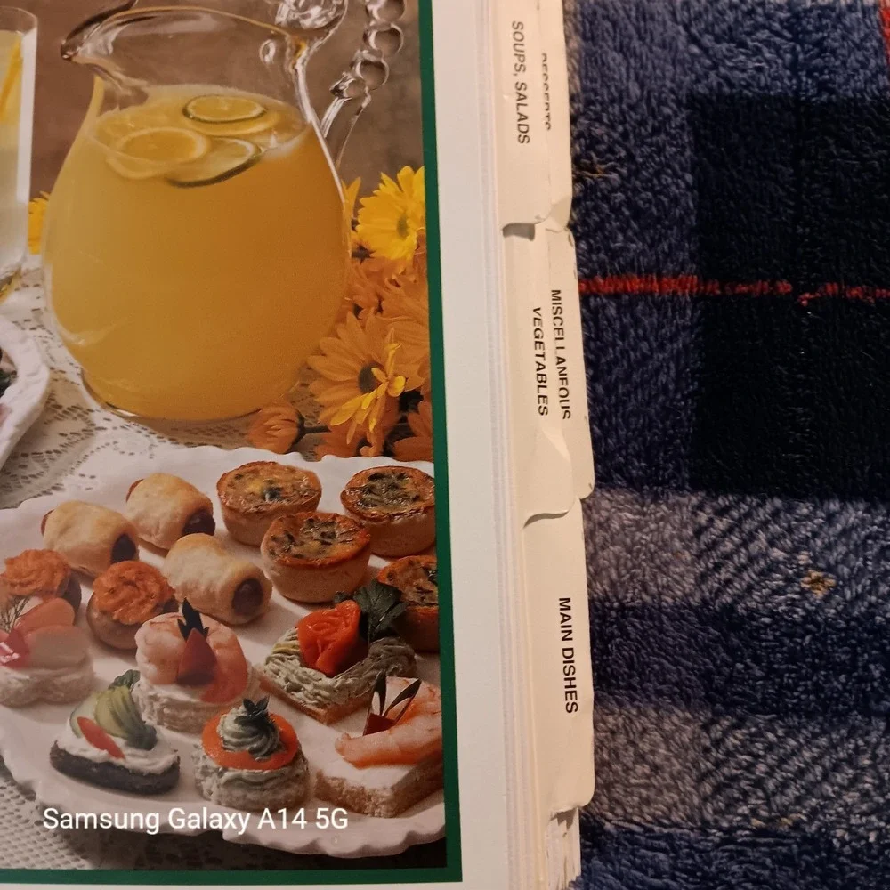 TREASURED FAMILY RECIPES Cookbook Roberta Mazza 1999 Spiral American Vintage